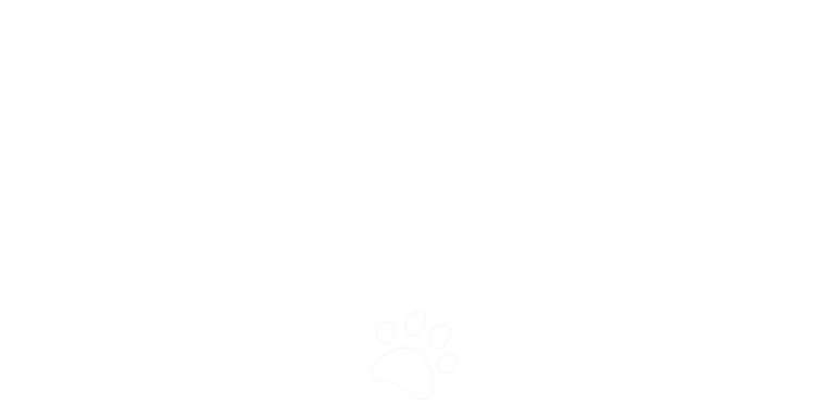 Puppy Yoga club